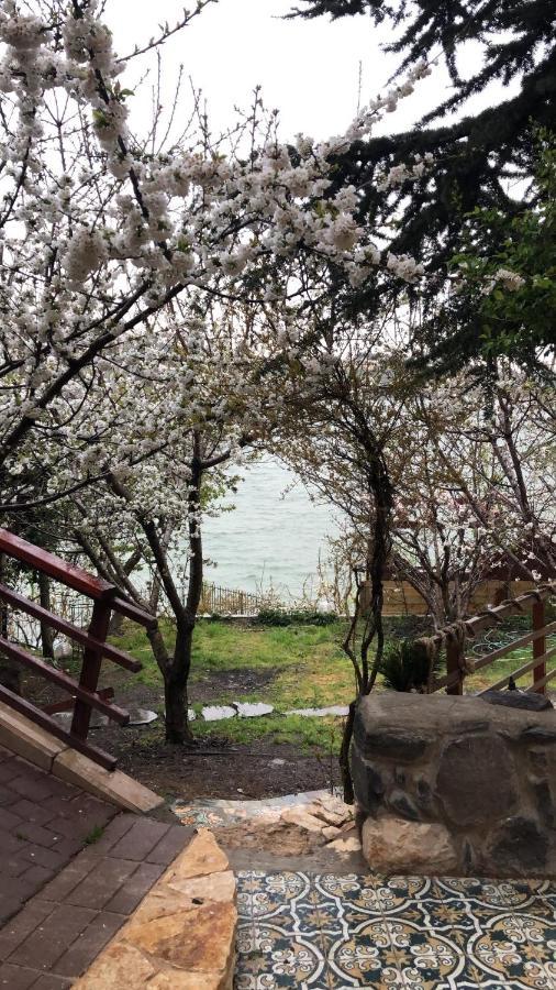 Zimer Al-Bayt Mas'ada Dış mekan fotoğraf