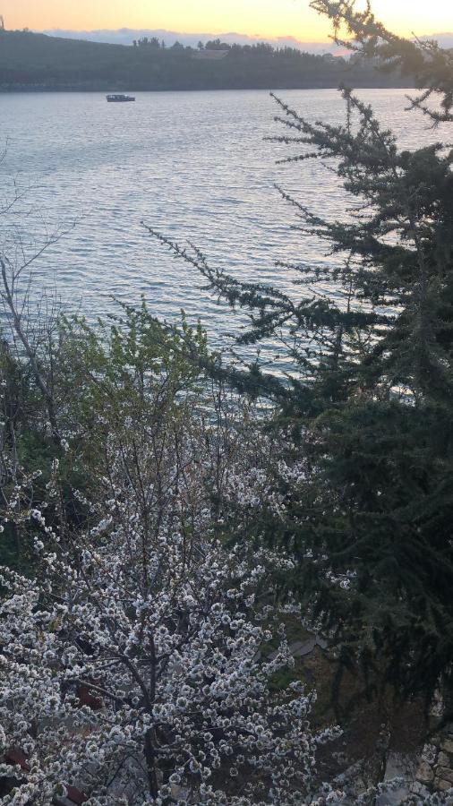 Zimer Al-Bayt Mas'ada Dış mekan fotoğraf