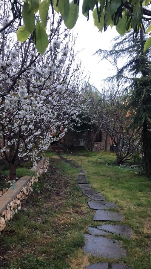 Zimer Al-Bayt Mas'ada Dış mekan fotoğraf
