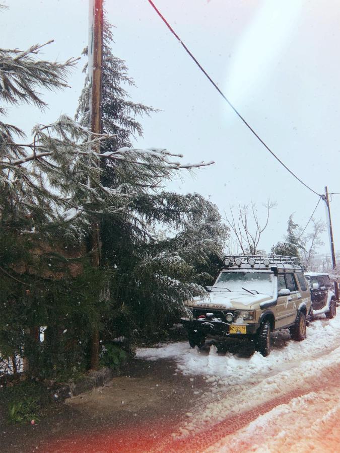 Zimer Al-Bayt Mas'ada Dış mekan fotoğraf