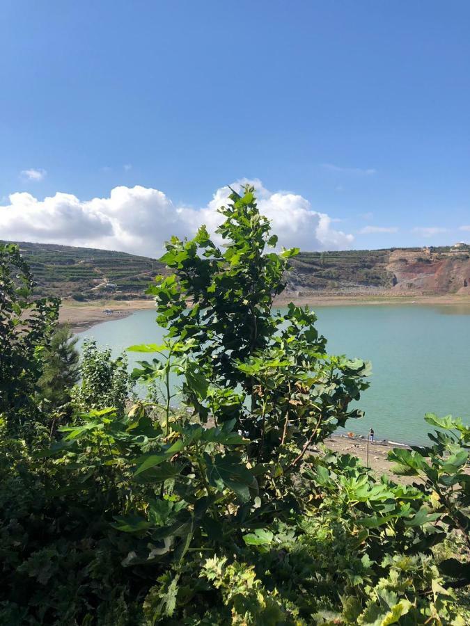 Zimer Al-Bayt Mas'ada Dış mekan fotoğraf