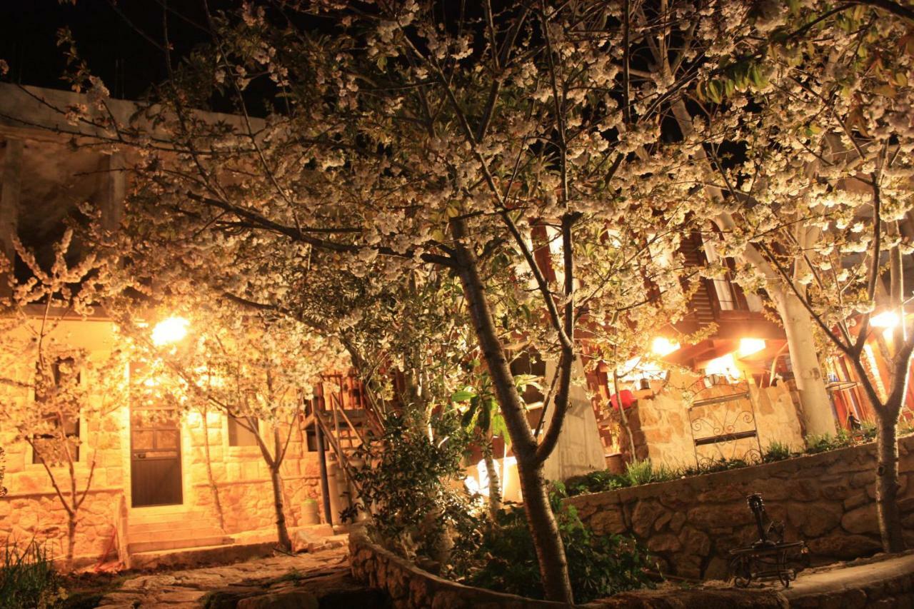 Zimer Al-Bayt Mas'ada Dış mekan fotoğraf