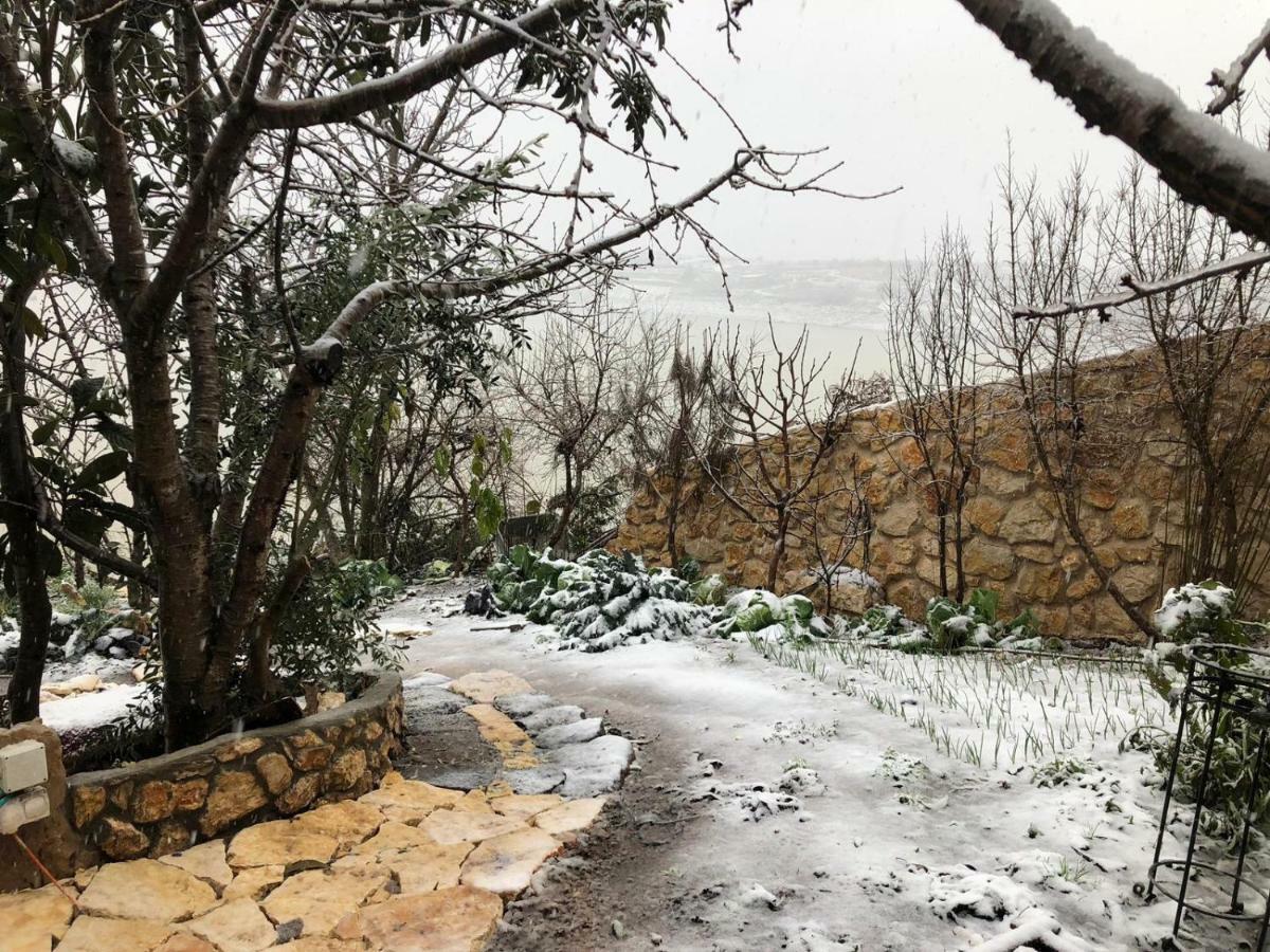 Zimer Al-Bayt Mas'ada Dış mekan fotoğraf